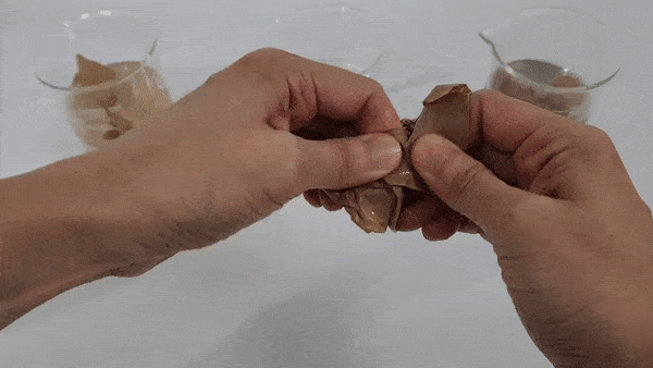 핫멜트 테이프 수해리성 비교 실험 이미지