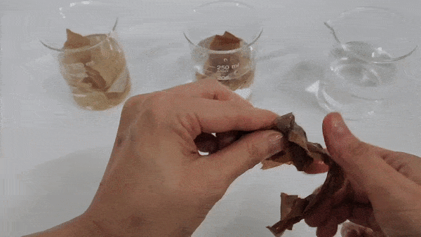 천연고무 테이프 수해리성 비교 실험 이미지